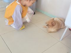 -怪兽屋·羊驼·猫咖·狗咖(俊华广场店)