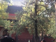 -南岳衡山风景名胜区