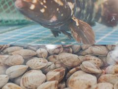 -三亚火车头万人海鲜广场