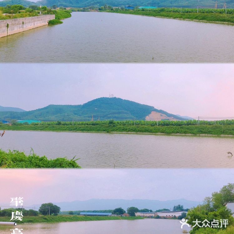 肇庆农家菜｜你今日食咗未？