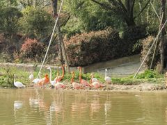 -杭州野生动物世界