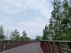 -王借岗森林公园