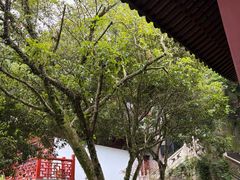 -韬光茶庵