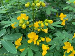 -古田会议纪念馆