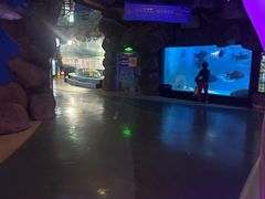 -烟台海昌鲸鲨海洋公园