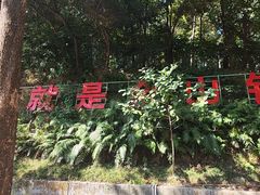 -火炉山森林公园