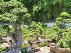 -西湖公园(鼓楼区)