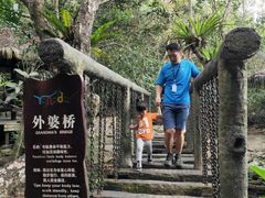 -呀诺达热带雨林