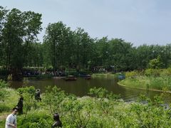 -合肥滨湖国家森林公园