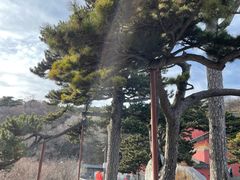 -妙峰山风景名胜区