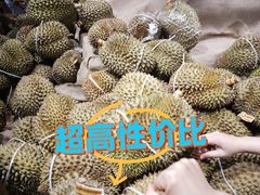 -坂田天虹