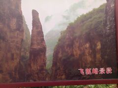 -空中草原