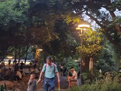 -成都市活水公园