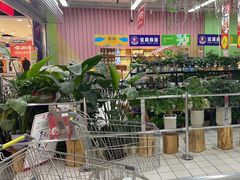 -大润发(张江店)
