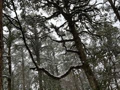 -龙苍沟森林公园