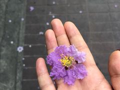 -清迈女子监狱马杀鸡(无分店)
