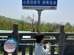 -浮槎山