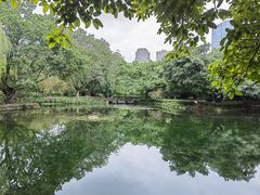 -望江楼公园