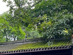 -成都武侯祠博物馆