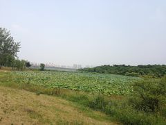 -盘龙城国家考古遗址公园