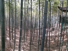-陶祖圣境风景区