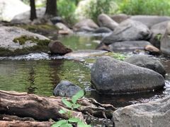 -碓臼峪自然风景区