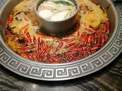 -杨肥肠火锅大排档(火车站花园店)