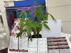 -雅悦齿科(顾村公园店)