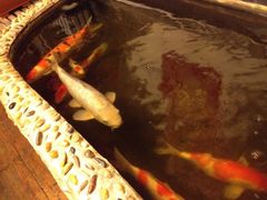 -郭家大院(新源店)