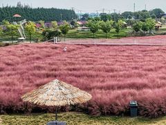 -嘉北郊野公园