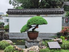 -水绘园