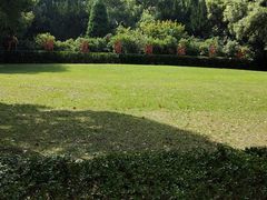 -上海交通大学医学院附属瑞金医院(总院)