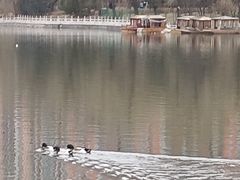 -迎泽公园