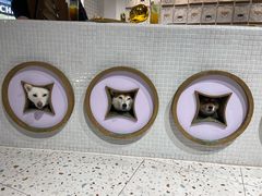 -柴务处·柴犬主题狗咖