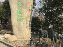 -溱湖国家湿地公园