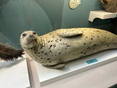 -国家自然博物馆