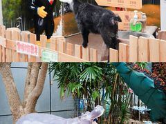 -正佳雨林生态植物园