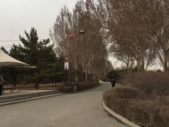 -长春公园(普阳街道)