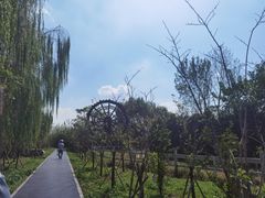 -溱湖国家湿地公园