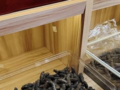 -宫品海参专卖店(静安大宁店)