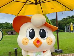 -济州森林小火车生态公园