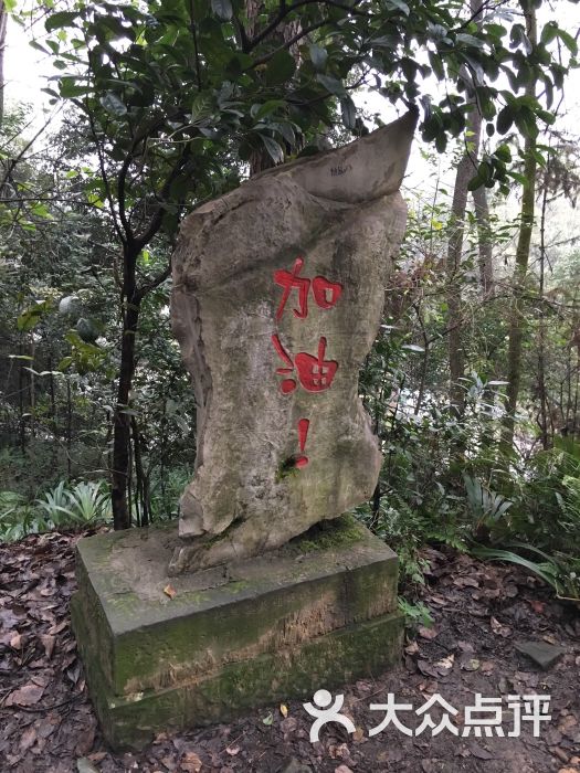 歌樂山國家森林公園-圖片-重慶景點-大眾點評網