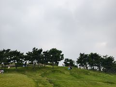 -小麦岛公园