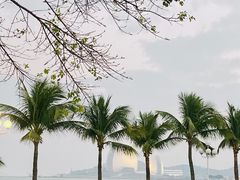 -太平洋咖啡(海天驿站店)