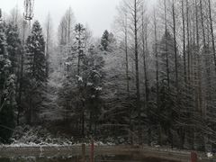 -山王坪喀斯特国家生态公园