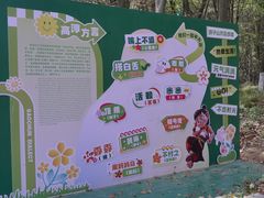 -游子山休闲旅游区