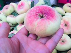 -鑫朱雀农贸批发市场