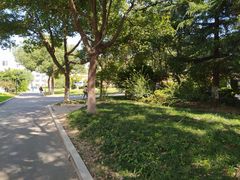 -苏州城市学院