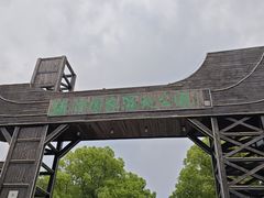 -溱湖国家湿地公园