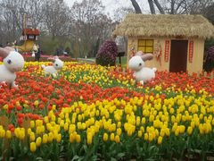 android_upload_pic-解放公园